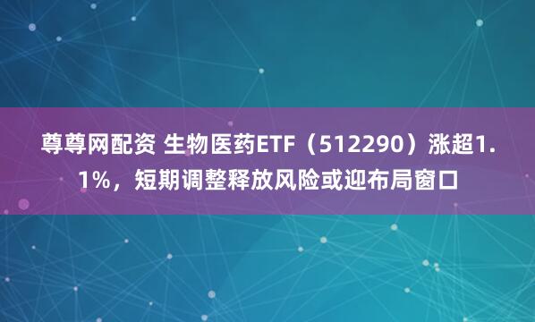 尊尊网配资 生物医药ETF（512290）涨超1.1%，短期调整释放风险或迎布局窗口