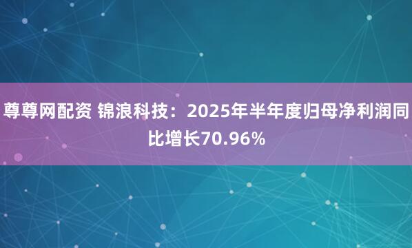 尊尊网配资 锦浪科技：2025年半年度归母净利润同比增长70.96%