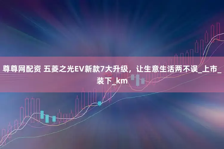 尊尊网配资 五菱之光EV新款7大升级，让生意生活两不误_上市_装下_km